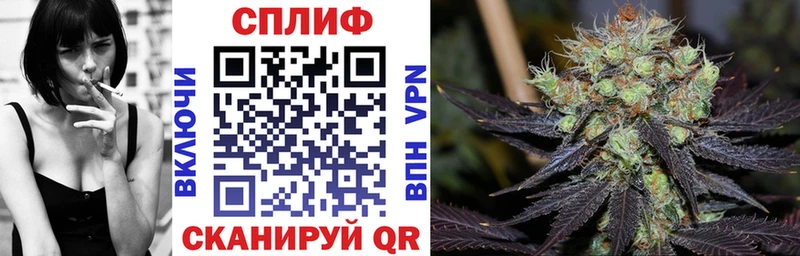 Где можно купить наркотики Кириллов MDMA  Псилоцибиновые грибы  ГАШИШ  COCAIN 