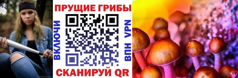 где купить наркотик  Кириллов  Псилоцибиновые грибы ЛСД 
