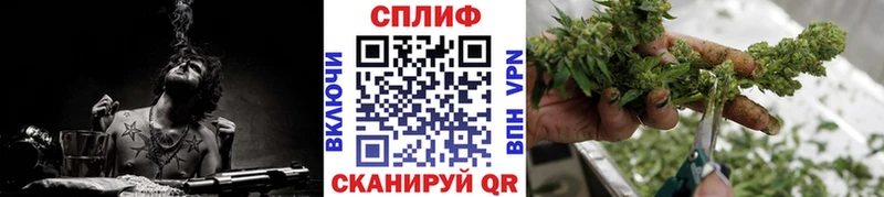 Конопля индика  мориарти наркотические препараты  Кириллов 